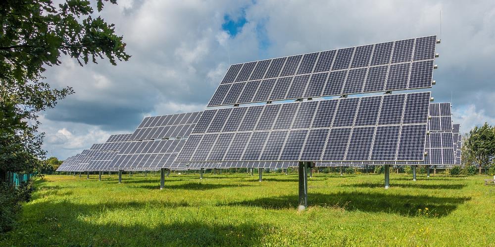 Paneles solares distribuidos en un campo para la obtención de energía limpia