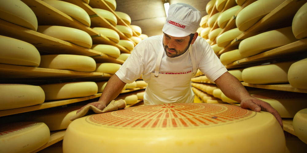 Productor de queso suizo